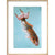 Kin-Yu: Le Superbe fish print in natural frame