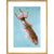 Kin-Yu: Le Superbe fish print in gold frame