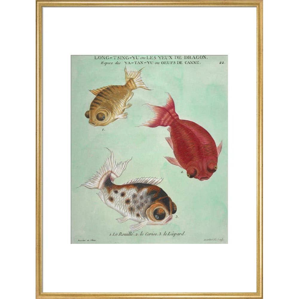 Long-Tsing-Yu trio of fish print in gold frame
