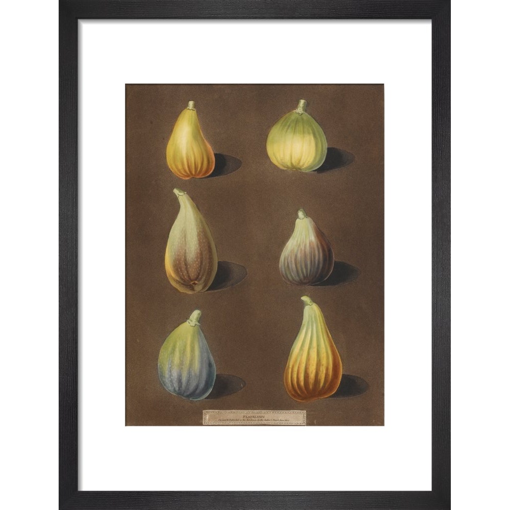 Figs print in black frame