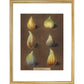 Figs print in gold frame