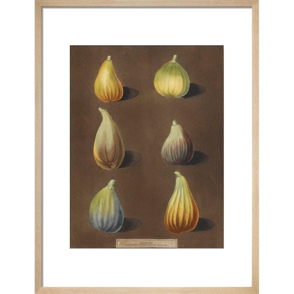 Figs print in natural frame