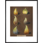 Figs print in black frame