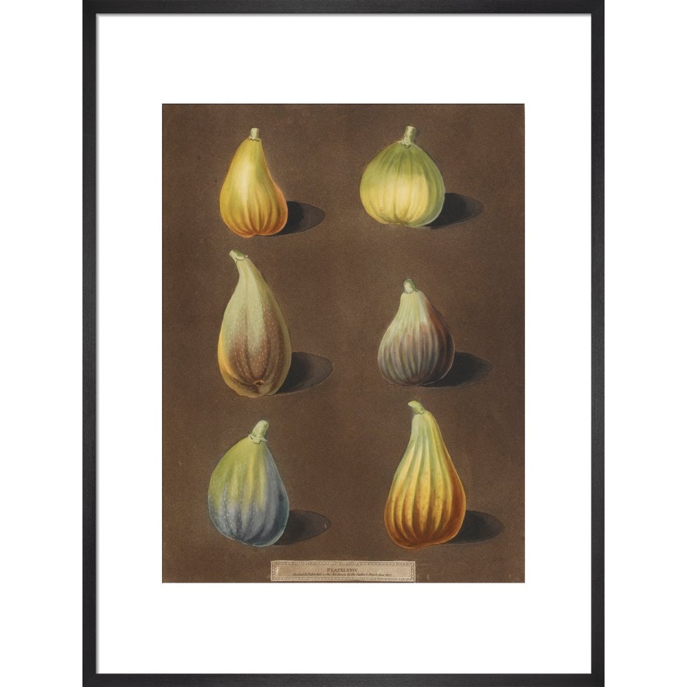 Figs print in black frame