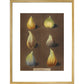 Figs print in gold frame
