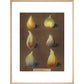 Figs print in natural frame