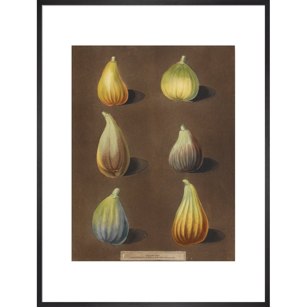 Figs print in black frame