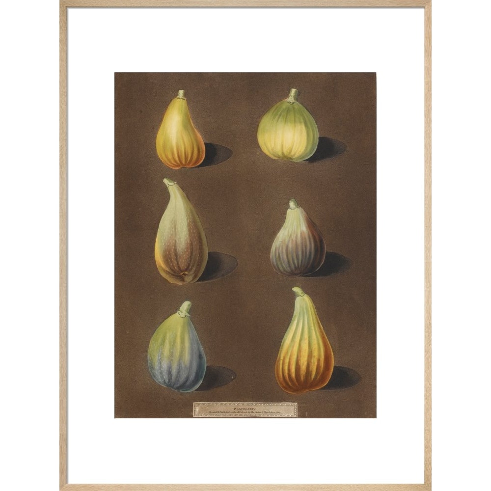Figs print in natural frame