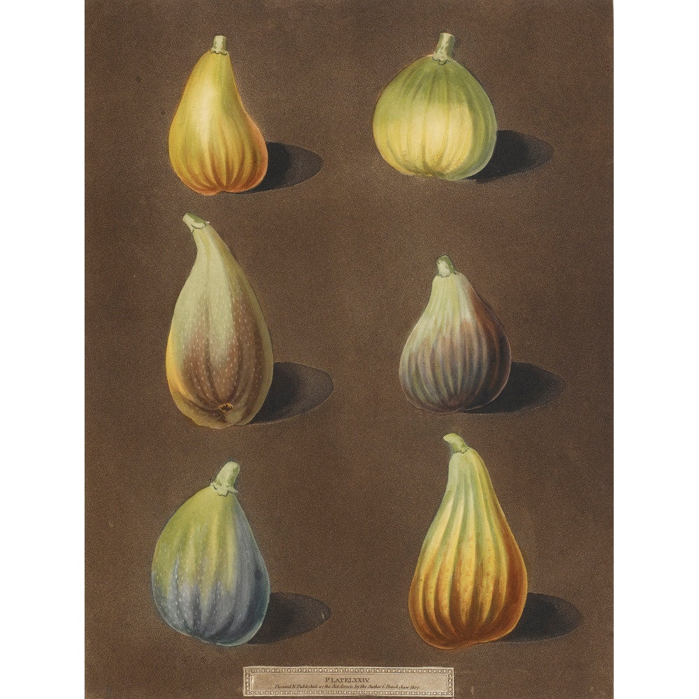 Figs print