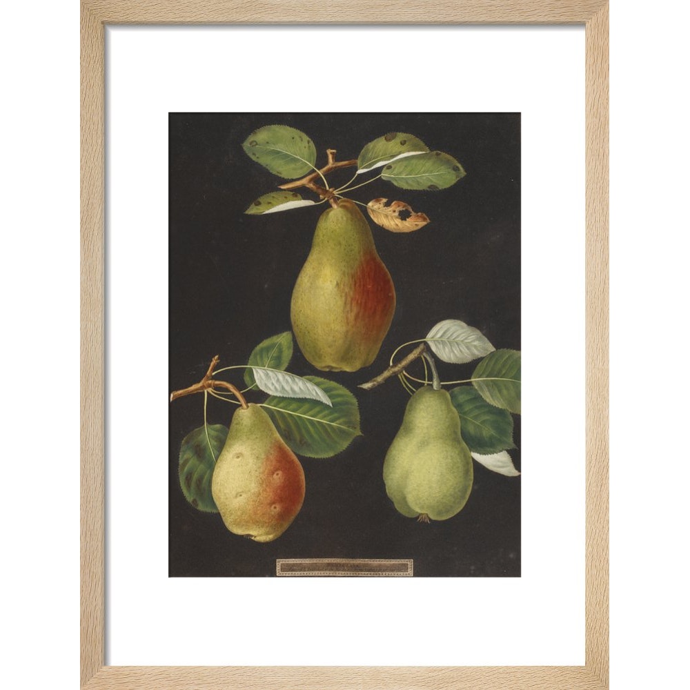 Pears print in natural frame