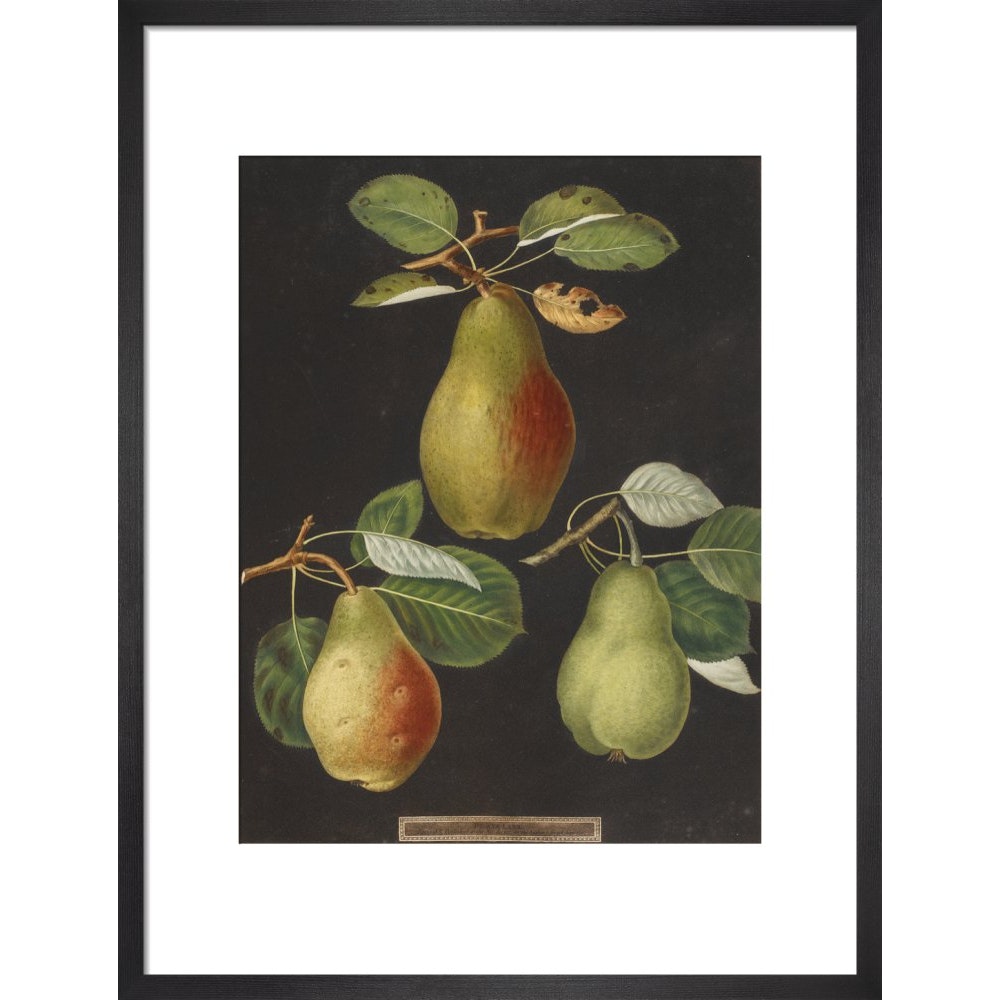 Pears print in black frame