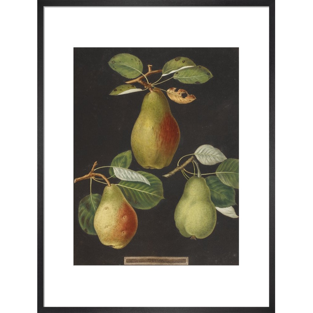 Pears print in black frame