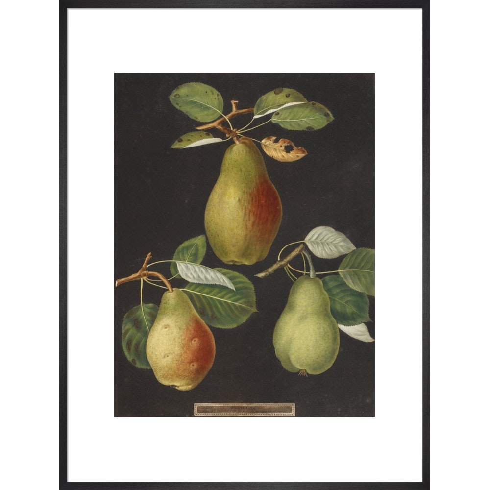 Pears print in black frame