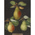 Pears print