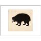 Sloth Bear print in white frame