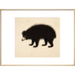 Sloth Bear print in natural frame