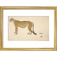 Asian Cheetah print in gold frame