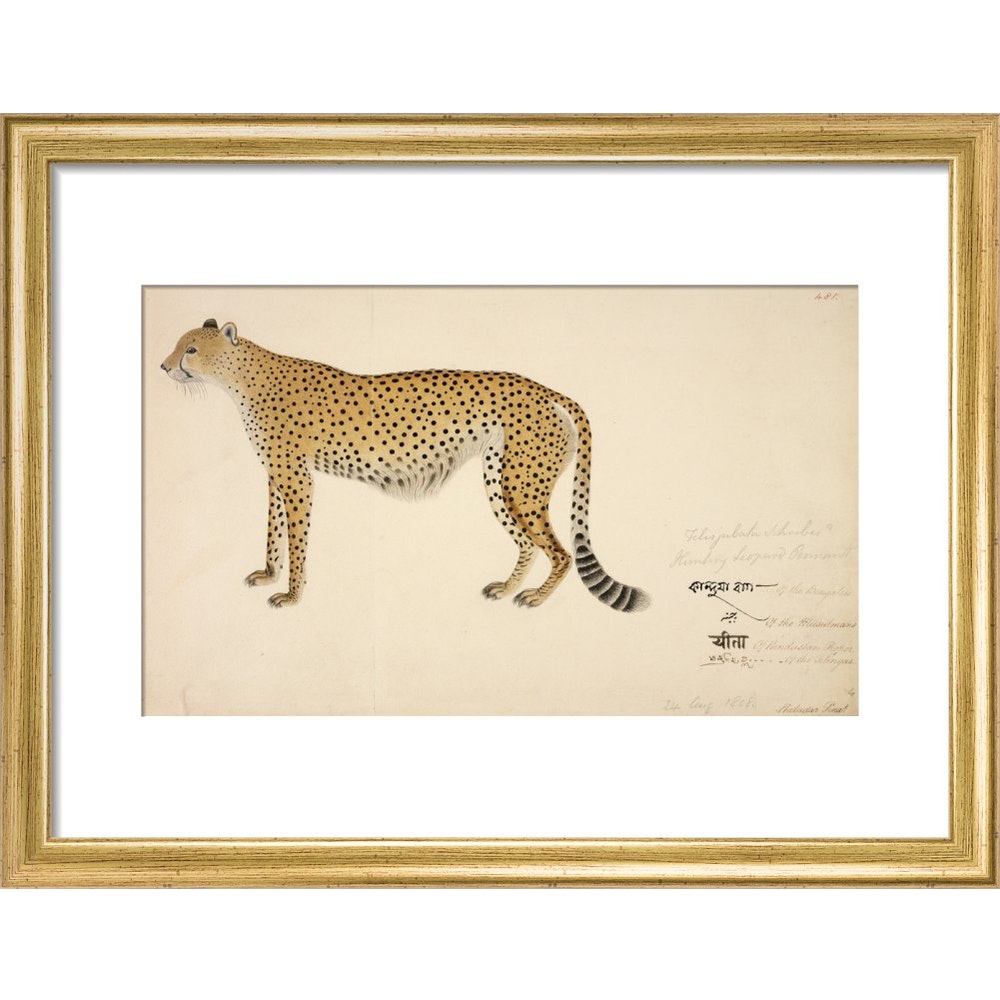 Asian Cheetah print in gold frame