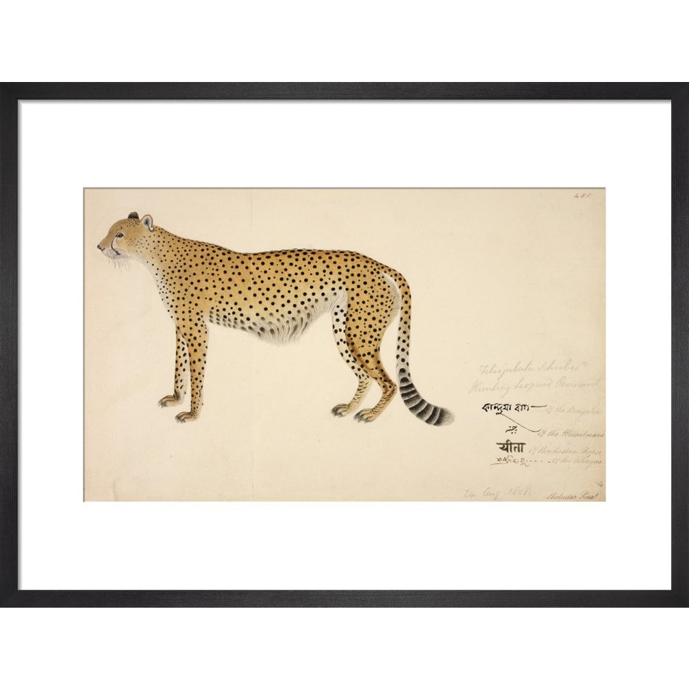 Asian Cheetah print in gold frame
