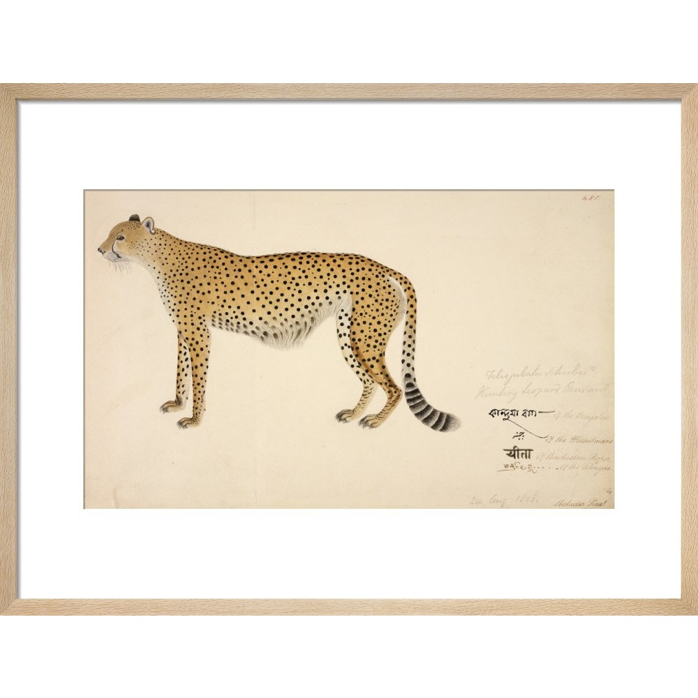 Asian Cheetah print in natural frame