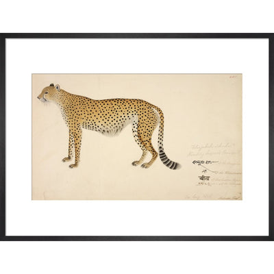Asian Cheetah print in black frame