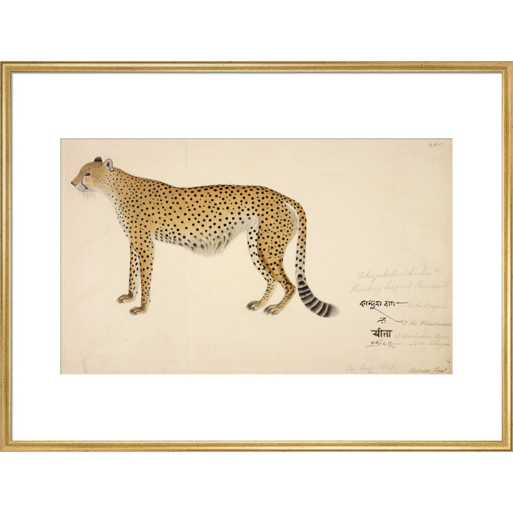 Asian Cheetah print in gold frame