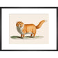 A ginger cat print in black frame