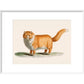 A ginger cat print in white frame