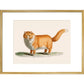 A ginger cat print in gold frame