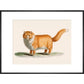 A ginger cat print in black frame