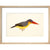 Stork-Billed Kingfisher print in natural frame