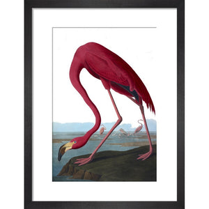 Flamingo print in black frame