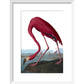 Flamingo print in white frame