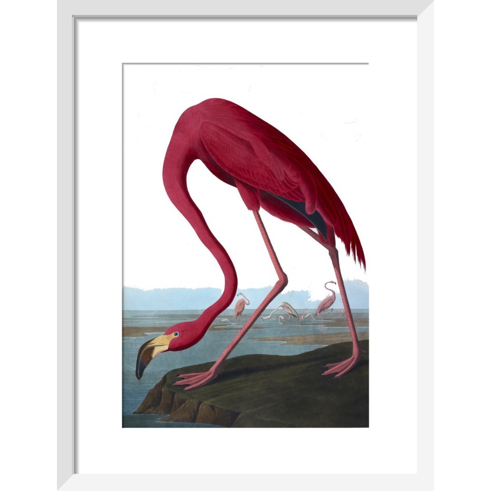 Flamingo print in white frame