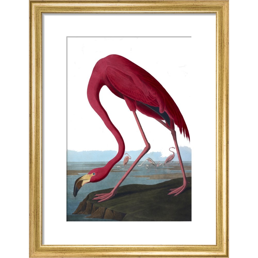 Flamingo print in gold frame