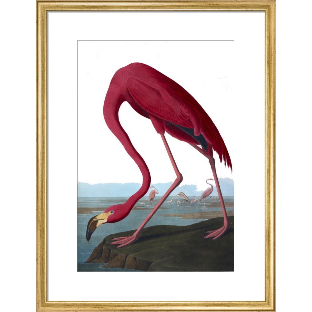 Flamingo print in gold frame