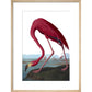 Flamingo print in natural frame