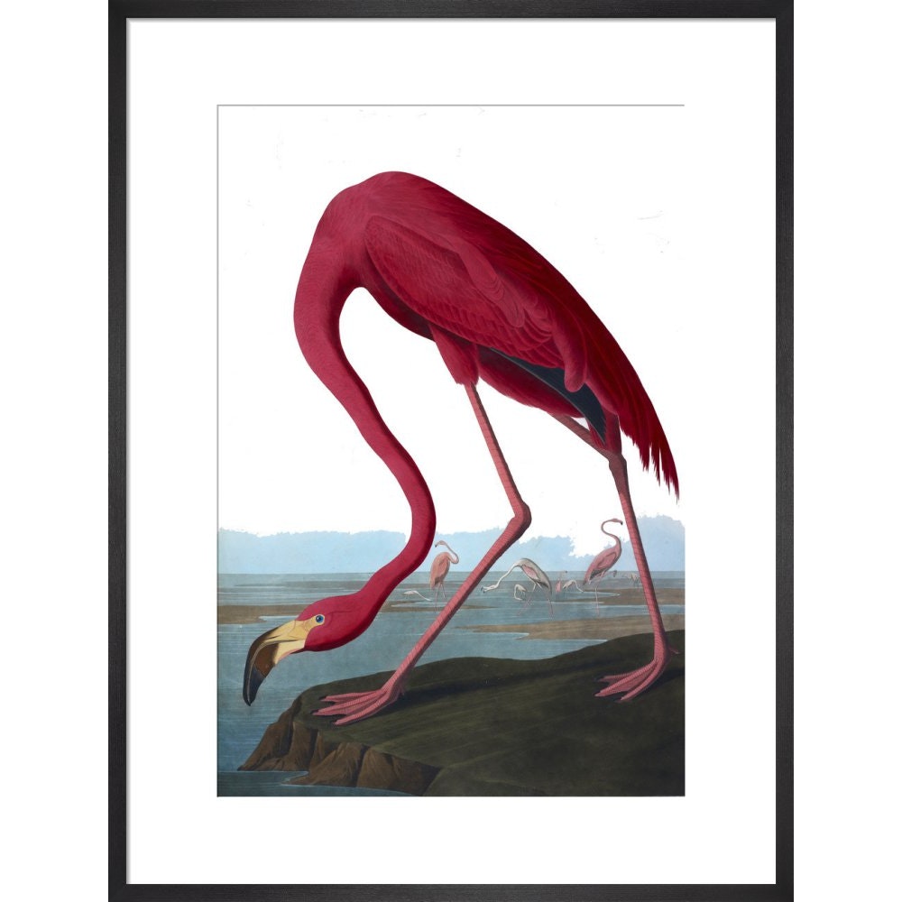 Flamingo print in black frame