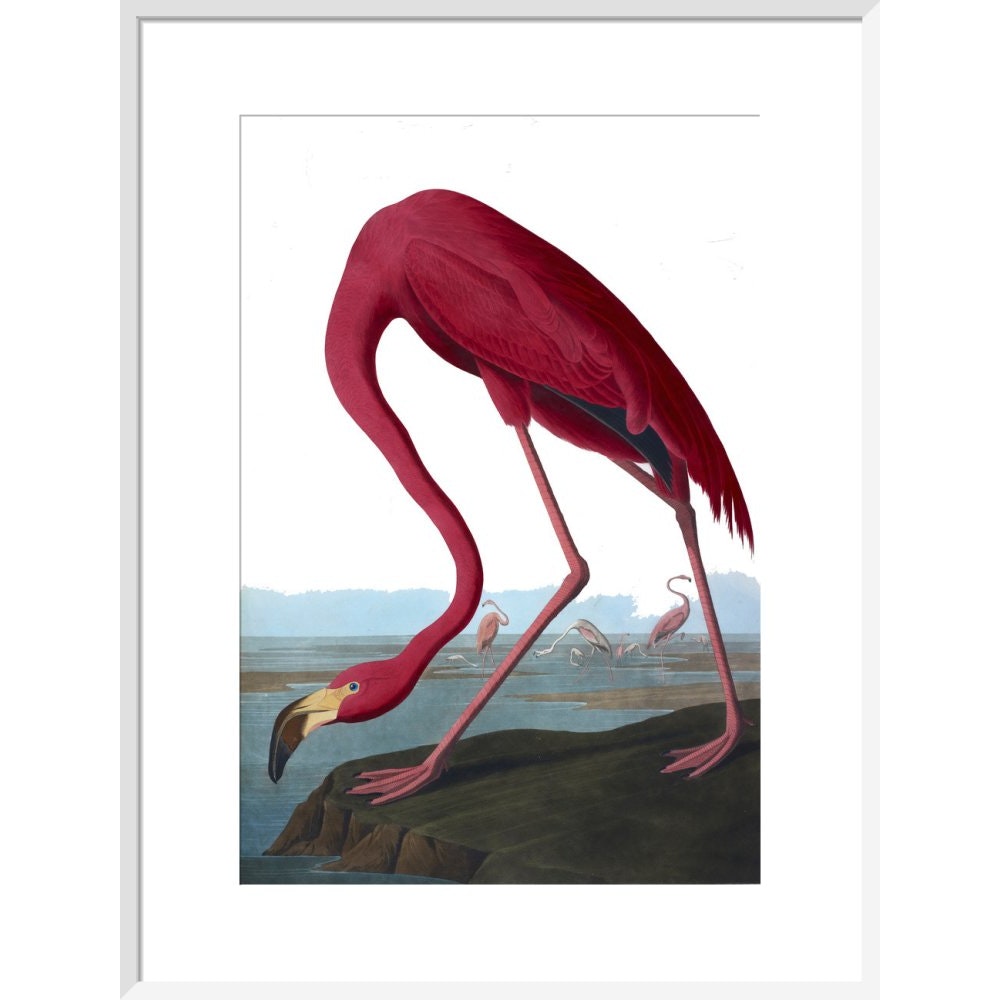 Flamingo print in white frame