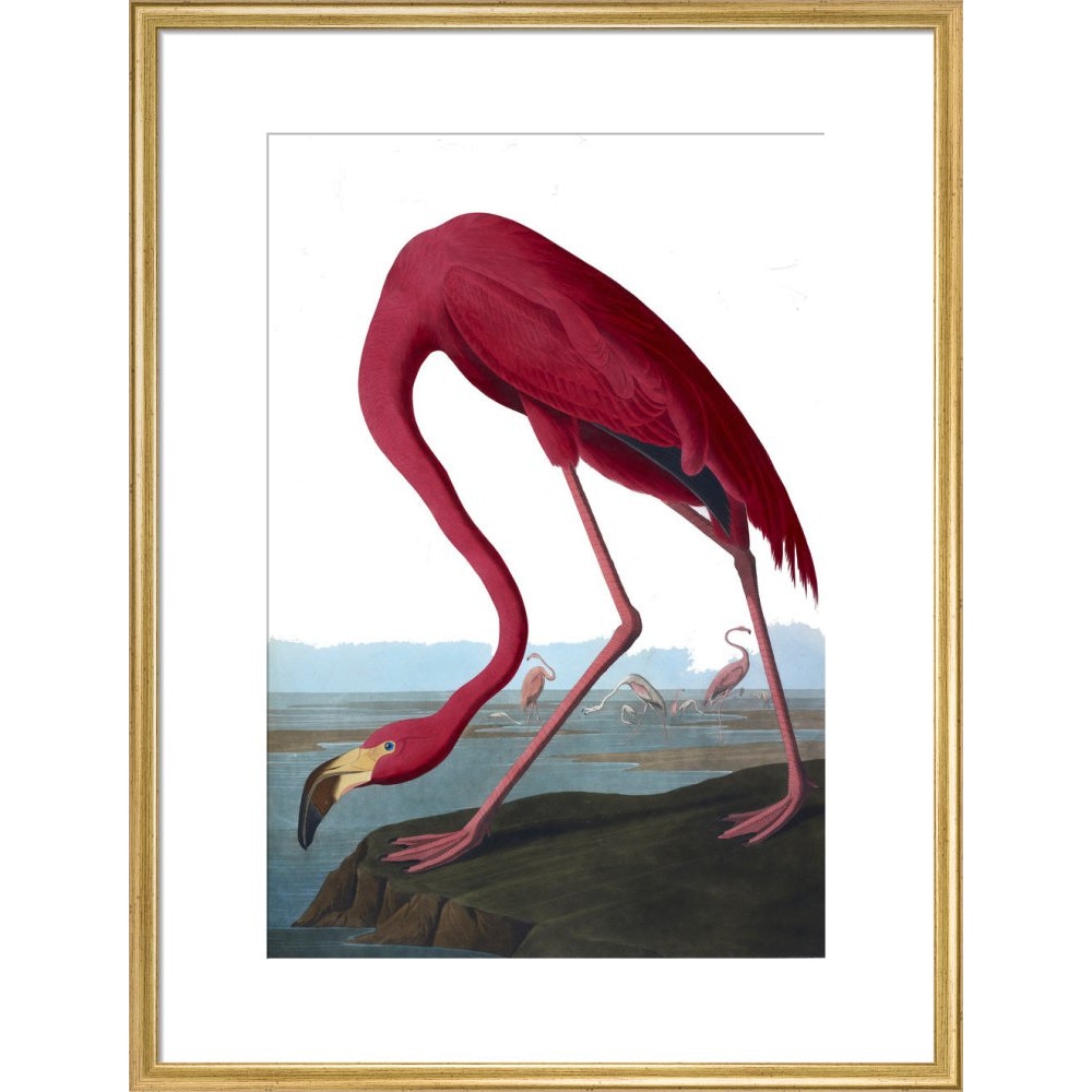 Flamingo print in gold frame