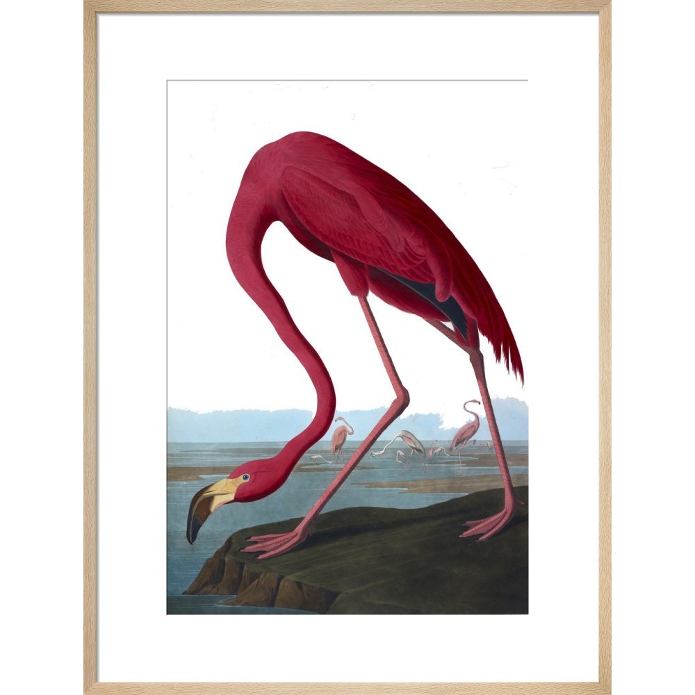 Flamingo print in natural frame