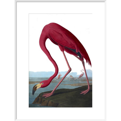 Flamingo print in white frame
