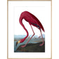Flamingo print in natural frame