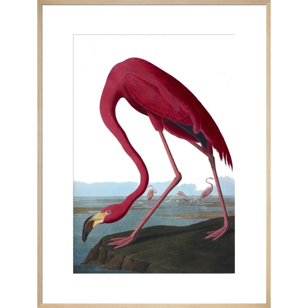 Flamingo print in natural frame