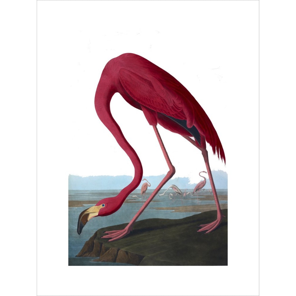 Flamingo print unframed