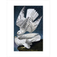 Iceland or Jer Falcon print unframed