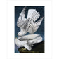 Iceland or Jer Falcon print unframed