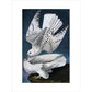 Iceland or Jer Falcon print unframed