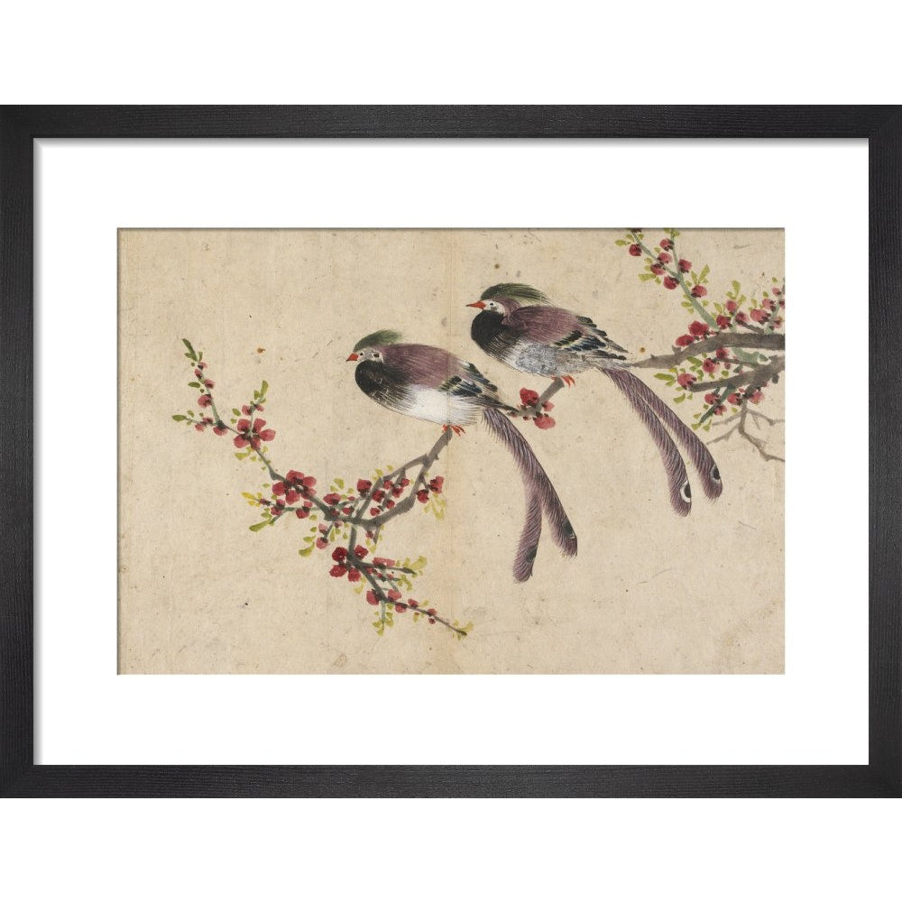 Long-tailed birds on plum tree branch print in black frame