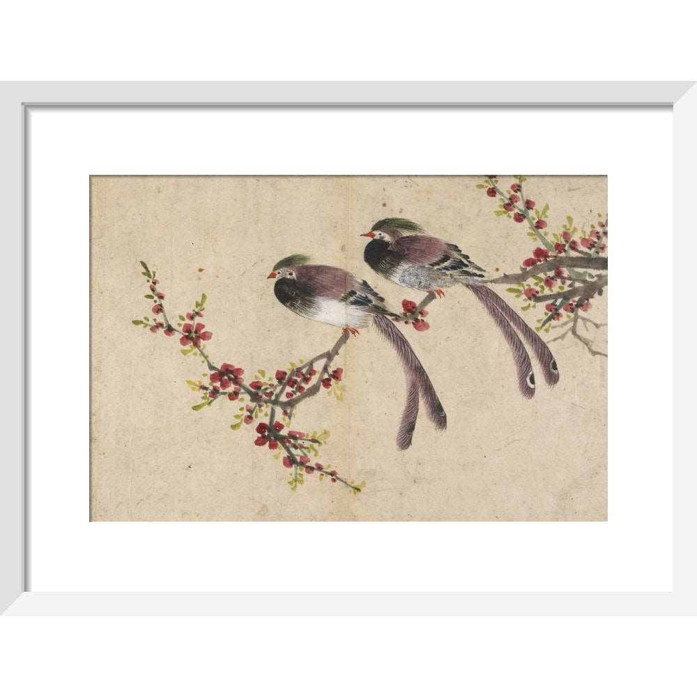 Long-tailed birds on plum tree branch print in white frame